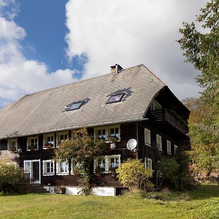 Waelder: Quartier Dachsberg Villa Dachsberg im Schwarzwald Eksteriør billede