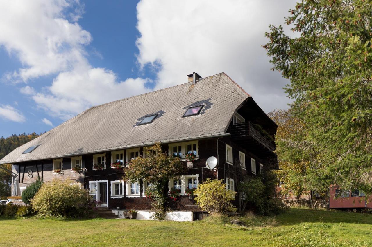 Waelder: Quartier Dachsberg Villa Dachsberg im Schwarzwald Eksteriør billede